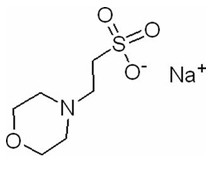 Saures Natriumsalz CASs 71119-23-8 MES-NA 2 (N-Morpholino) Ethanesulfonic